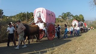 preview picture of video 'Romería de VÉLEZ-MÁLAGA 2013 El regreso.'