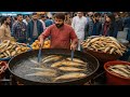 KARACHI POPULAR FISH STREET FOOD VIDEOS COMPILATION SPECIAL FOODS COLLECTION FROM BEST FISH SELLER