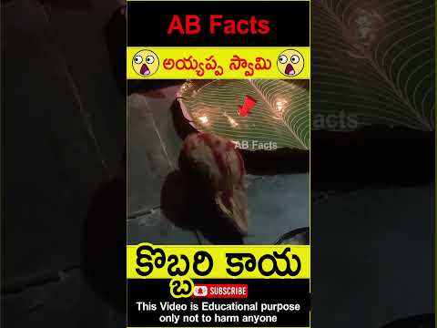 🙏అయ్యప్ప స్వామి🙏 Miracle happened in ayyappa pooja #telugufacts #shorts #youtubeshorts #abfacts