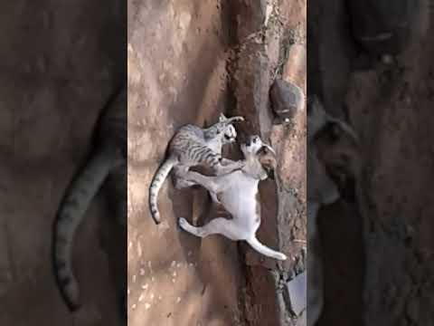 Best friends of the decade