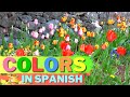 It S A Colorful World Colors In Spanish