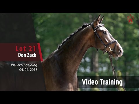 No 21 Don Zack v. Don Olymbrio L - Zack_Trainingsvideo