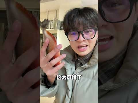 100条食人鱼团灭了！还有机会救活吗？ #食人鱼   #鲁伟学长 #养鱼日记