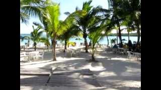 preview picture of video 'Sunshine, palms and Caribbean Sea in front of the hotel'