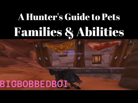 A Hunter's Guide to Pet Families and Abilities : Classic WoW Tutorial