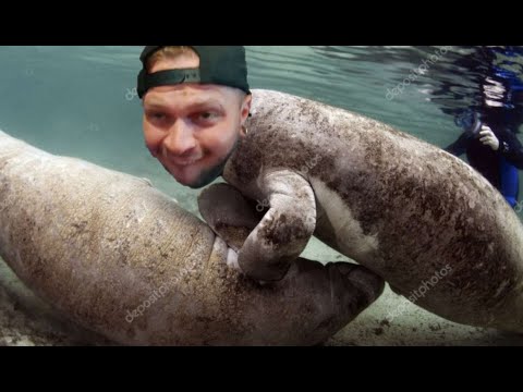 OGUMTV JA MATKA KOHTI TUNTEMATONTA