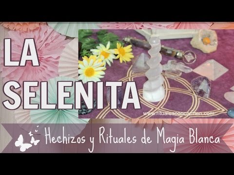 Cerca porno con giovani membri Effetti collaterali di patogeno femminile
