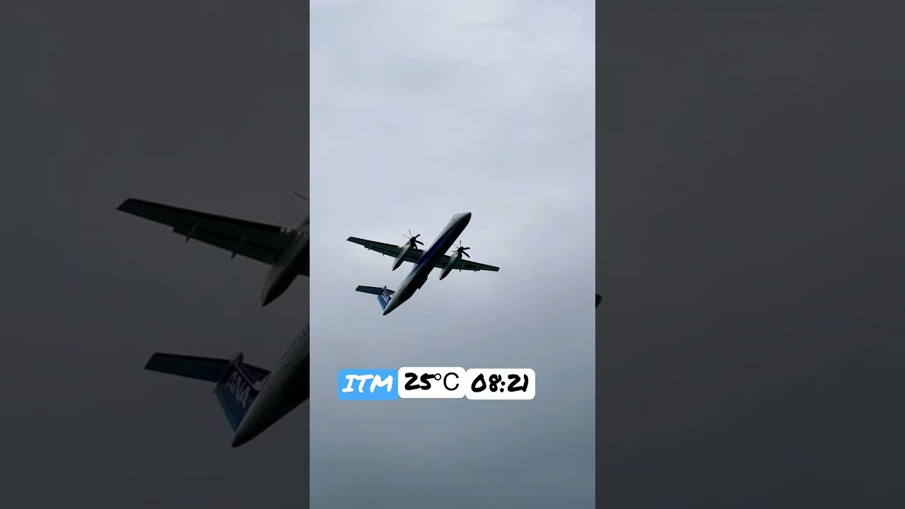 De Havilland Aircraft of Canada ANA Takeoff Osaka International Airport #ana #takeoff #summer