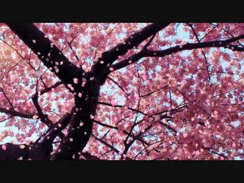 maria callas one fine day (madam butterfly)