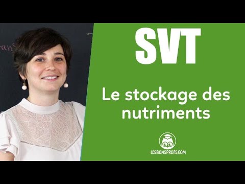 Le stockage des nutriments