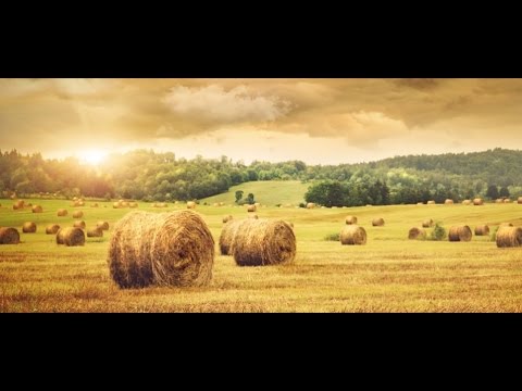 Andrea Carri - Dopo un raccolto ne viene un altro