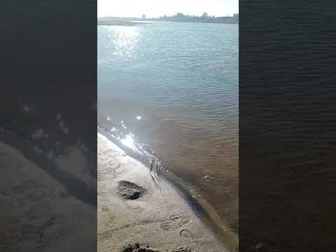 this is Narmada river but feels like a beach 😅🤨😛