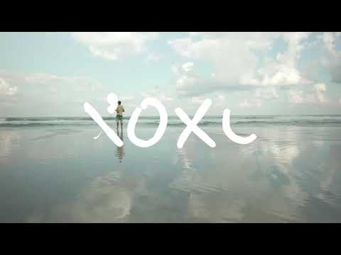 Sea Safari Cruises of Abu Dhabi, tours, packages, excursions, trips, activities and adventures