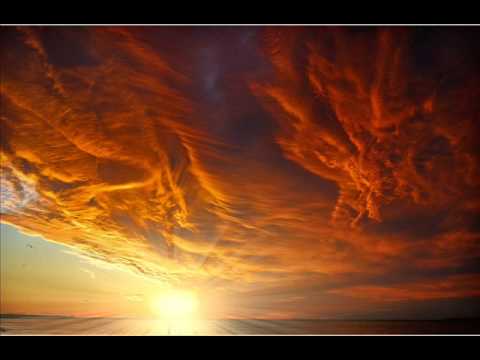 Darkwood Dub - Disem