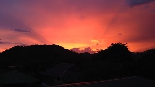 The Tree of Life II - The Killing Speed of Time