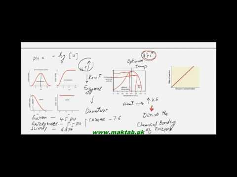 FSc Biology Book1, CH 3, LEC 2: Enzymes Characteristics, Factors Effecting Rate of Enzyme