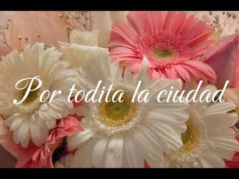 Ojos De Muñeca - Daniel me estás matando