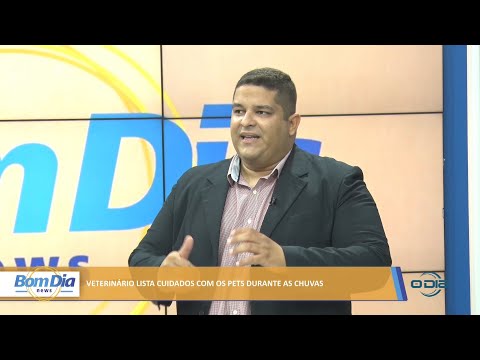 Médico veterinário fala sobre cuidados com os pets durante o período chuvoso 31 01 2022