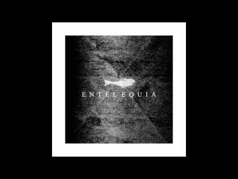Cheb Rubën & SH Música - Entelequia - [Completo] [HD]