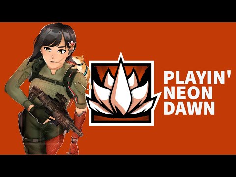 The Operation Neon Dawn Experience