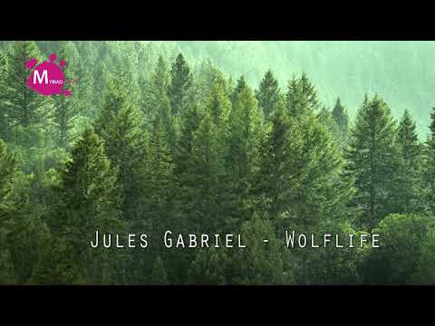 Jules Gabriel - Wolflife