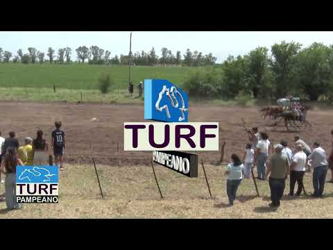 TURF - MACACHIN - LA PAMPA - 25-1-26 - FOTOCHART FERNANDEZ