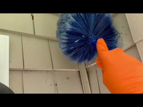 Putting an End to the Spider Problem in Marlboro, NJ