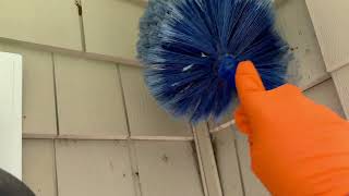 Watch video: Putting an End to the Spider Problem in Marlboro, NJ