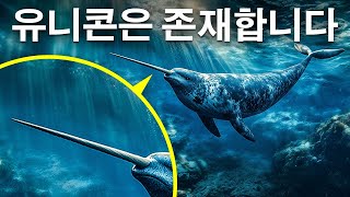 심해의 가장 어두운 곳에 숨겨진 심해의 미스터리