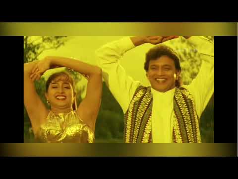 छैल छबीला बलमा मेराI(Chhail Chabila Balma Mera) - DJ सोंग - पूर्णिमा, विनोद राठौड़