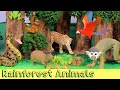 Meet The Amazon Jungle Animals DIY Diorama