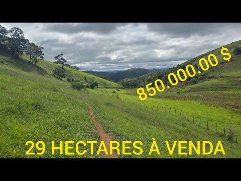 29 HECTARES DE TERRA À VENDA.