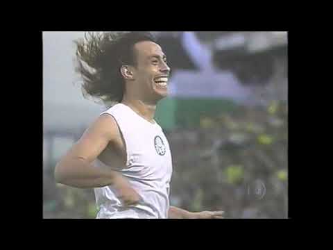 Palmeiras 5 x 2 Cruzeiro - Campeonato Brasileiro 2008