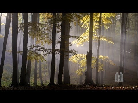 Jesu, the Very Thought Is Sweet - The Tabernacle Choir