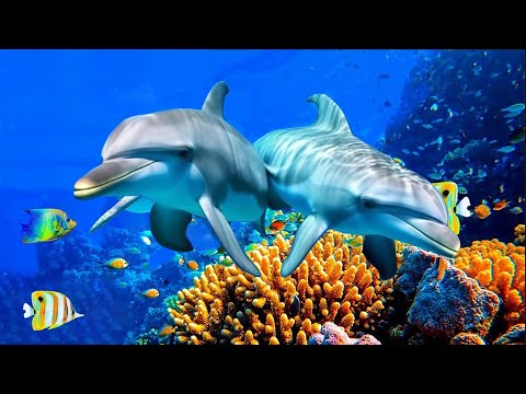 Natychmiastowy spokój: detoksykacja negatywnych emocji i spokojna muzyka do snu | Spokojna muzyka