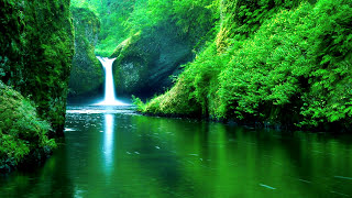 Party Favor - In My Head ft. Georgia Ku (Original vs KAIN remix - Comkri Edit)