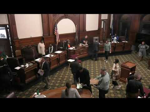 Rochester, NY City Council Committee Meeting - November 7, 2024