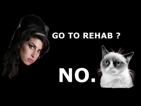 Amy Winehouse - Rehab (Cat Version)