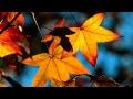 Kim Min Jong - With Love (김민종 - 사랑으로) 