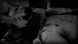 INFIDUS (2015) clip - NECROSTORM ( Drama, Crime, Splatter )