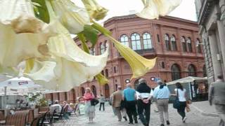 (Riga LATVIA) Pinoy Travel Channel