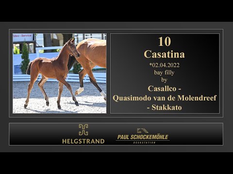 10 Casatina by Casallco - Quasimodo vd Molendreef