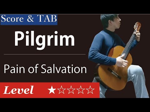 Pilgrim - Pain of Salvation