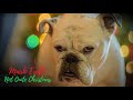 Mark Erelli "Not Quite Christmas" (Official Audio)