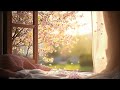 A Cherry Blossom By The Window Soft Piano For Deep Focus Reading Slow April Days