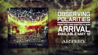 The Storm Picturesque - Observing Polarities (Official - HD)