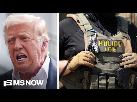 Trump DEFIES DHS and orders ICE to continue traffic stops