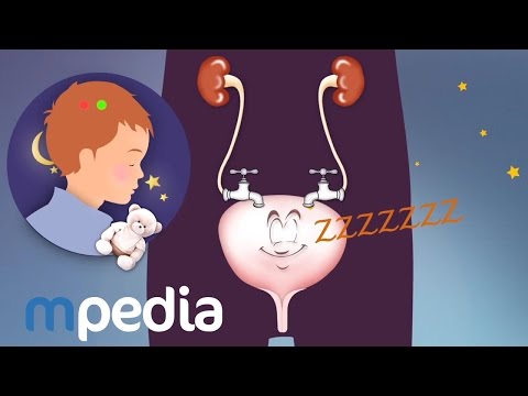 L'énurésie nocturne isolée de l'enfant