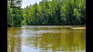 3910 N  M30, Gladwin MI, 48624