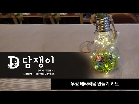 여수 담쟁이 치유농장 우정 테라리움 장식 만들기
